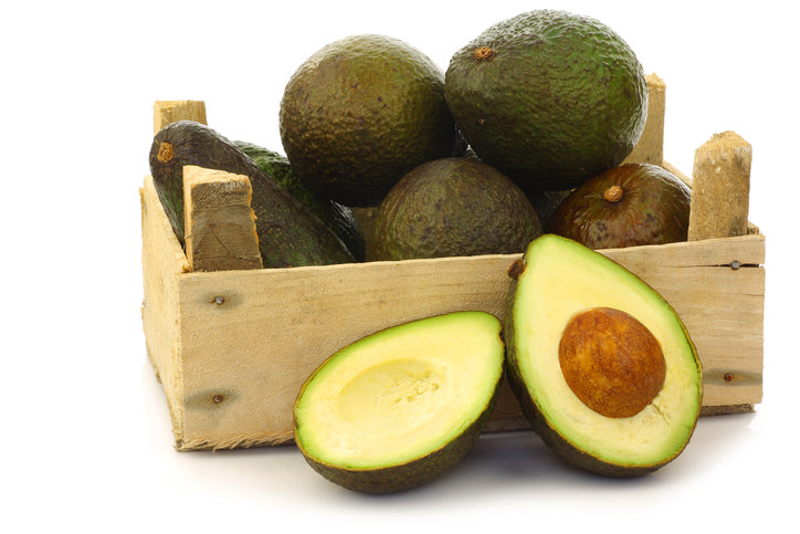 Premium Hass Avocados