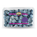 Blueberries — 1 Pack