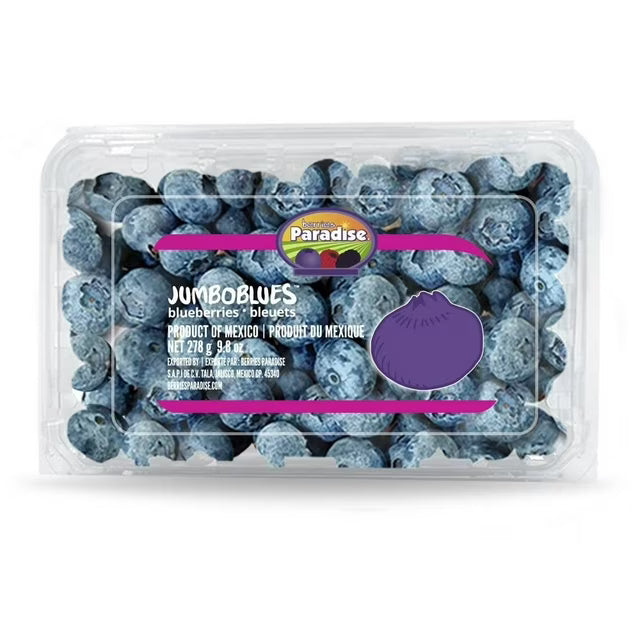 Blueberries — 1 Pack