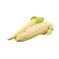Sweet Corn — 1 Piece