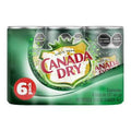 Ginger Ale — 6 Pack