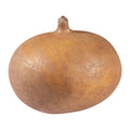 Jicama — 1 Piece