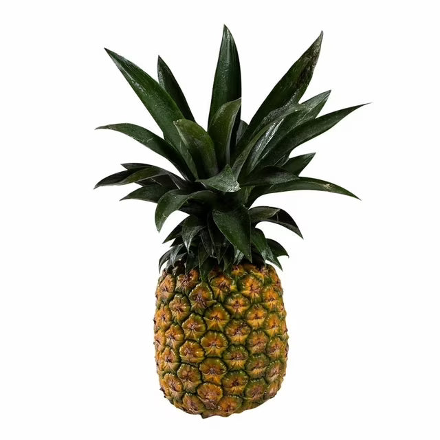 Fresh Pineapple — 1 Piece