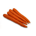 Fresh Carrots