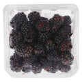 Blackberries — 1 Pack