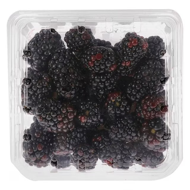 Blackberries — 1 Pack